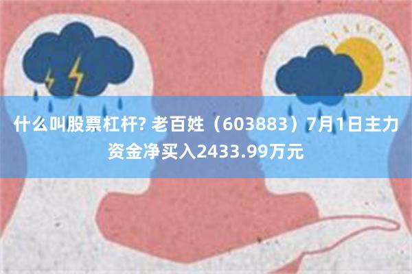 什么叫股票杠杆? 老百姓（603883）7月1日主力资金净买入2433.99万元