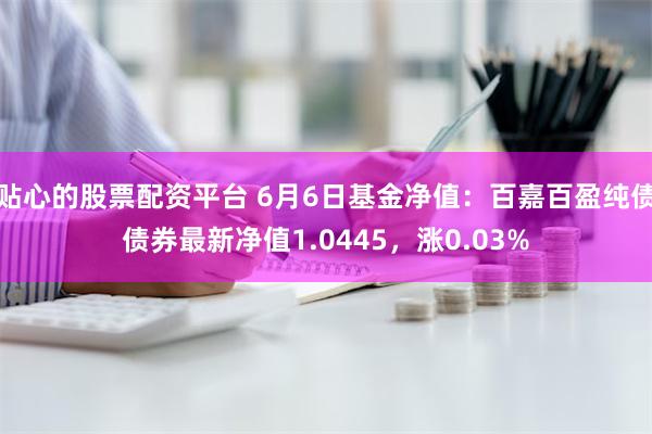 贴心的股票配资平台 6月6日基金净值：百嘉百盈纯债债券最新净值1.0445，涨0.03%