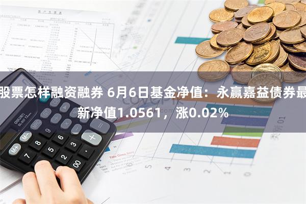 股票怎样融资融券 6月6日基金净值：永赢嘉益债券最新净值1.0561，涨0.02%