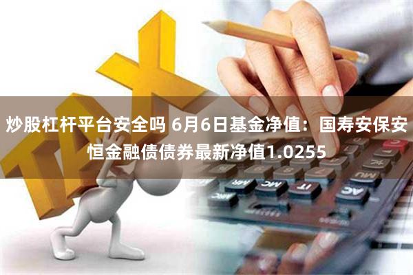 炒股杠杆平台安全吗 6月6日基金净值：国寿安保安恒金融债债券最新净值1.0255