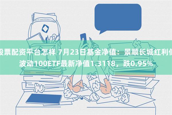 股票配资平台怎样 7月23日基金净值：景顺长城红利低波动100ETF最新净值1.3118，跌0.95%