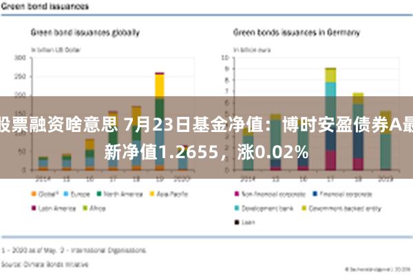 股票融资啥意思 7月23日基金净值：博时安盈债券A最新净值1.2655，涨0.02%