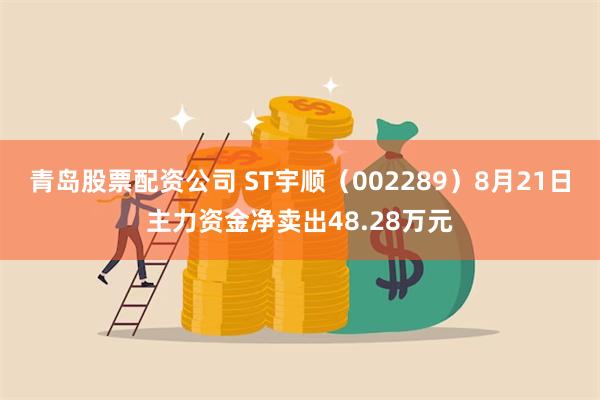 青岛股票配资公司 ST宇顺（002289）8月21日主力资金净卖出48.28万元