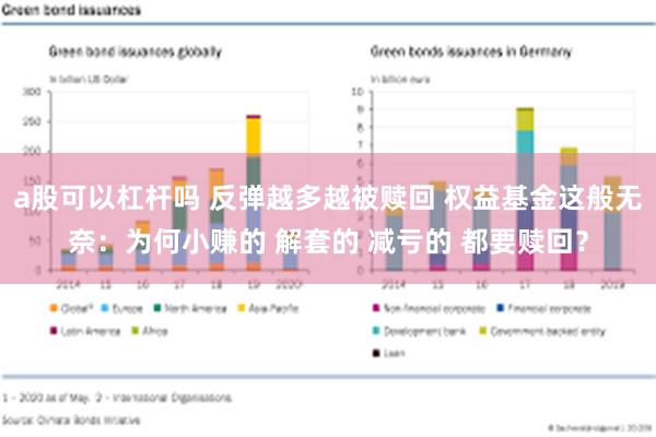 a股可以杠杆吗 反弹越多越被赎回 权益基金这般无奈：为何小赚的 解套的 减亏的 都要赎回？