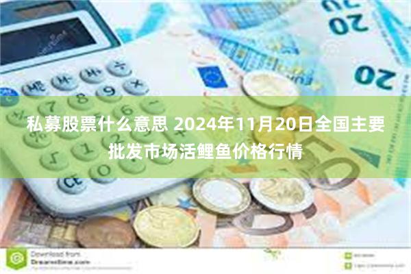 私募股票什么意思 2024年11月20日全国主要批发市场活鲤鱼价格行情