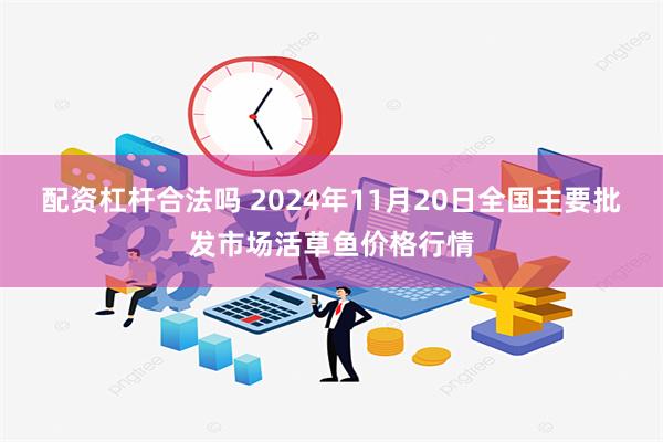 配资杠杆合法吗 2024年11月20日全国主要批发市场活草鱼价格行情