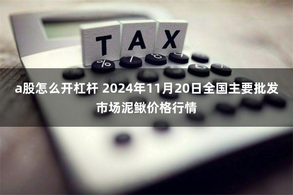 a股怎么开杠杆 2024年11月20日全国主要批发市场泥鳅价格行情