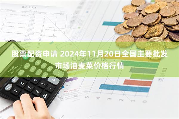 股票配资申请 2024年11月20日全国主要批发市场油麦菜价格行情