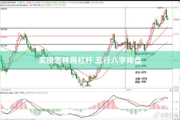 买股怎样用杠杆 五行八字排盘