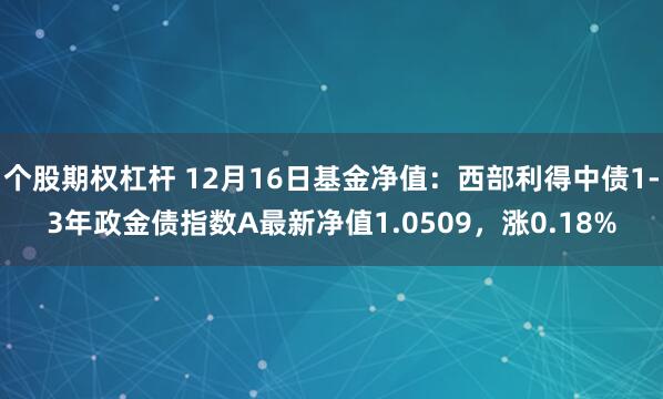 个股期权杠杆 12月16日基金净值：西部利得中债1-3年政金债指数A最新净值1.0509，涨0.18%