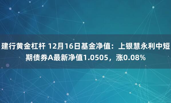 建行黄金杠杆 12月16日基金净值：上银慧永利中短期债券A最新净值1.0505，涨0.08%