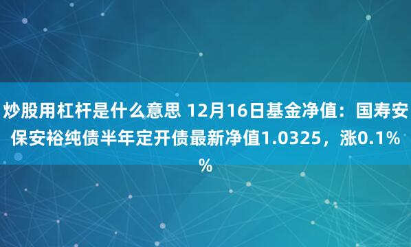 炒股用杠杆是什么意思 12月16日基金净值：国寿安保安裕纯债半年定开债最新净值1.0325，涨0.1%