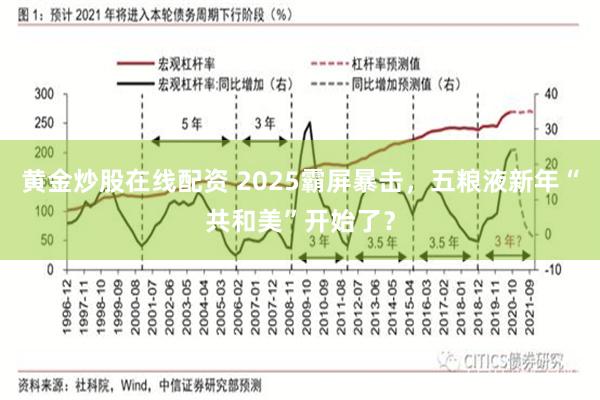 黄金炒股在线配资 2025霸屏暴击，五粮液新年“共和美”开始了？