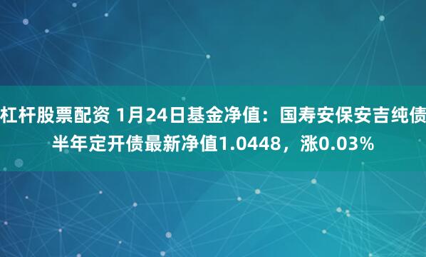 杠杆股票配资 1月24日基金净值：国寿安保安吉纯债半年定开债最新净值1.0448，涨0.03%