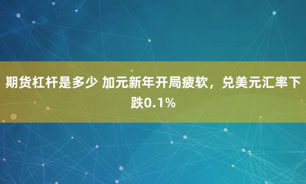 期货杠杆是多少 加元新年开局疲软,兑美元汇率下跌0.1%
